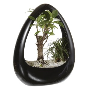 Bonsai in vaso nero a forma di goccia con pietre bianche.