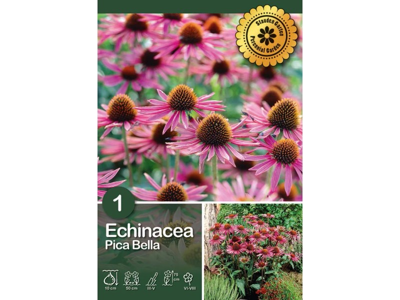 Semi Di Echinacea Rossa Porpora - Confezione Da 50 Semi Per Giardino Fiorito - Foto 8