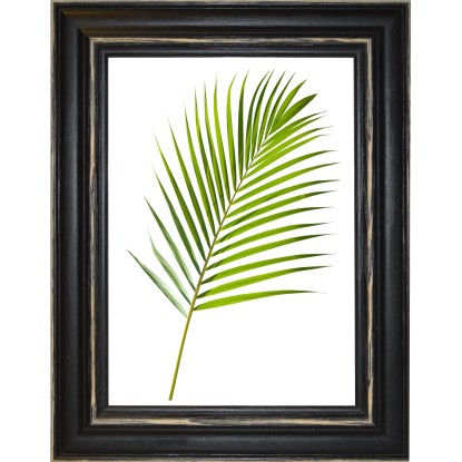 Cornice da muro Randu Nero 40x50 cm