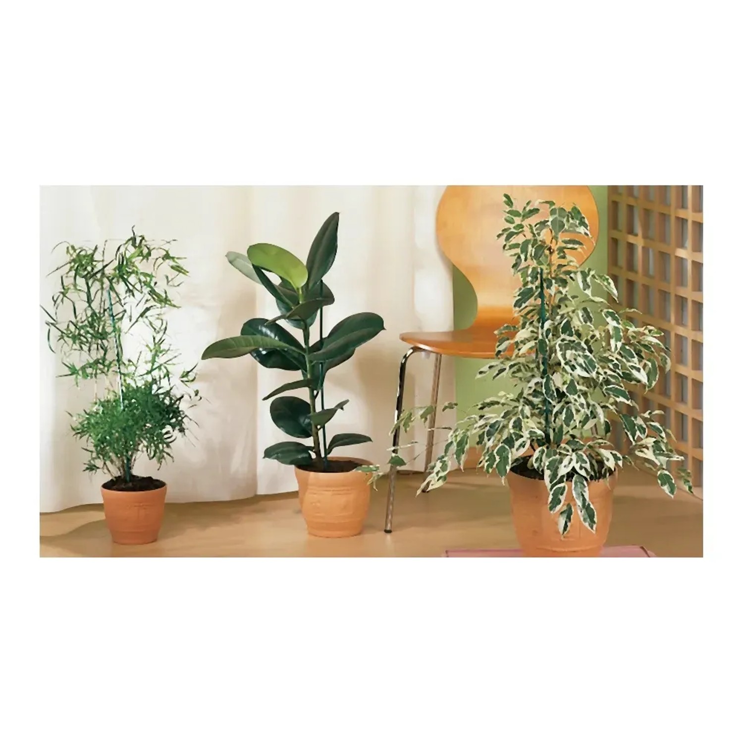 4 pezzi clip di fissaggio supporto per vasi da giardino pergola rampicante cerchio supporto per fiori in vaso forte pergola rampicante | Leroy Merlin