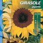 Confezione di semi di girasole (Girasole gigante) di Magnani Sementi. Ideale per fiori colorati.