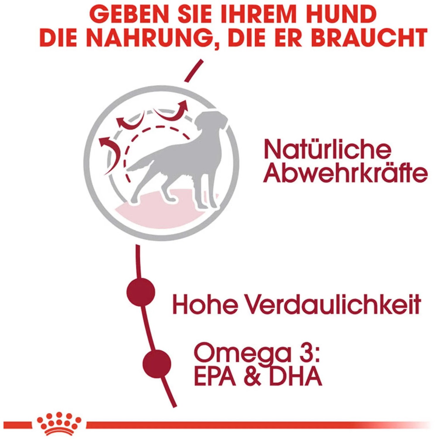 Royal Canin Medium Adult: Illustrazione di difese immunitarie, digeribilità e Omega-3 per cani di taglia media.