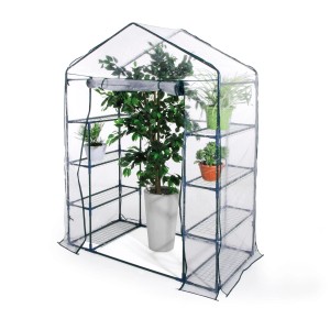 Serra piccola con ripiani e piante.