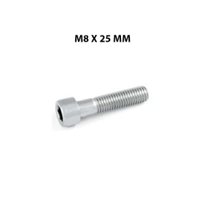 Vite M8 x 25 mm per accessori nautici.