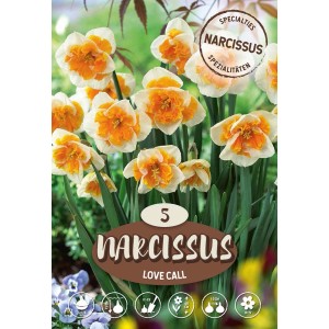 Narciso split multicolore 'Love Call' con fiori bianco-arancio per aiuole e giardini.