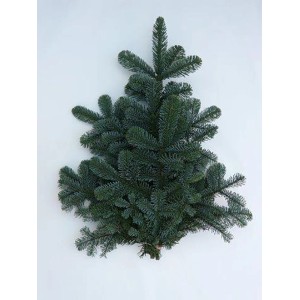 Rami di abete t.b.t. verdi per decorazioni dell'Avvento.