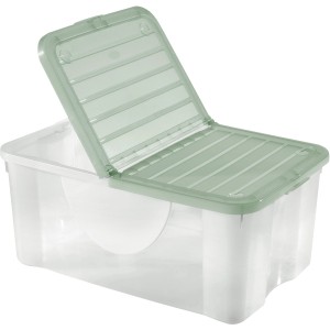 Contenitore trasparente con coperchio verde, Categoria: Contenitori.