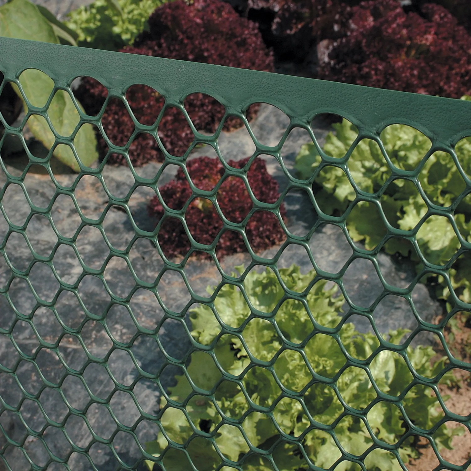 Rete plastica verde t.b.t. per proteggere le piante in giardino.