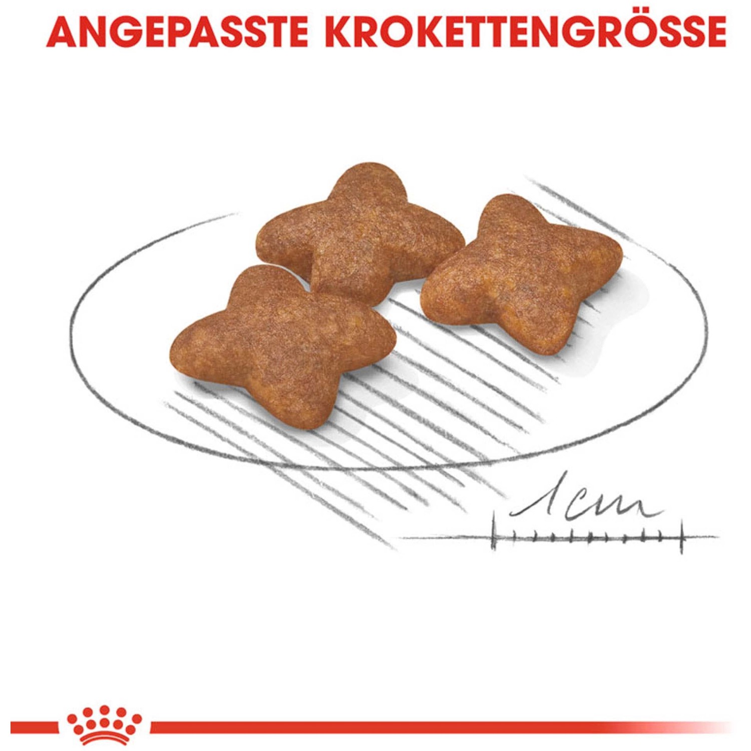 Royal Canin Mini Adult cibo secco per cani, crocchette di dimensioni adattate su un piatto.