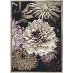 Quadri: Quadro incorniciato con dalie in colori tenui.