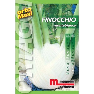 Confezione di semi di "Finocchio Montebianco" di Orto Maxi, ideale per la coltivazione di ortaggi.