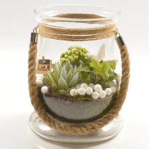 t.b.t. Composizione di piante in vetro con decorazione in corda.