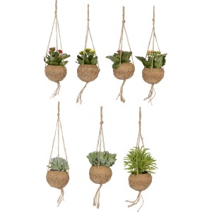 Diverse piante fiorite Kokedama Mix in sfere di muschio, appese a una corda.