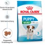 Royal Canin Mini Puppy cibo secco, confezione da 800g per cuccioli di piccola taglia.