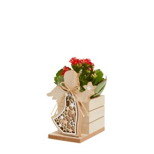 Composizione floreale con decoro angelo in secchio di legno, pianta da interno.