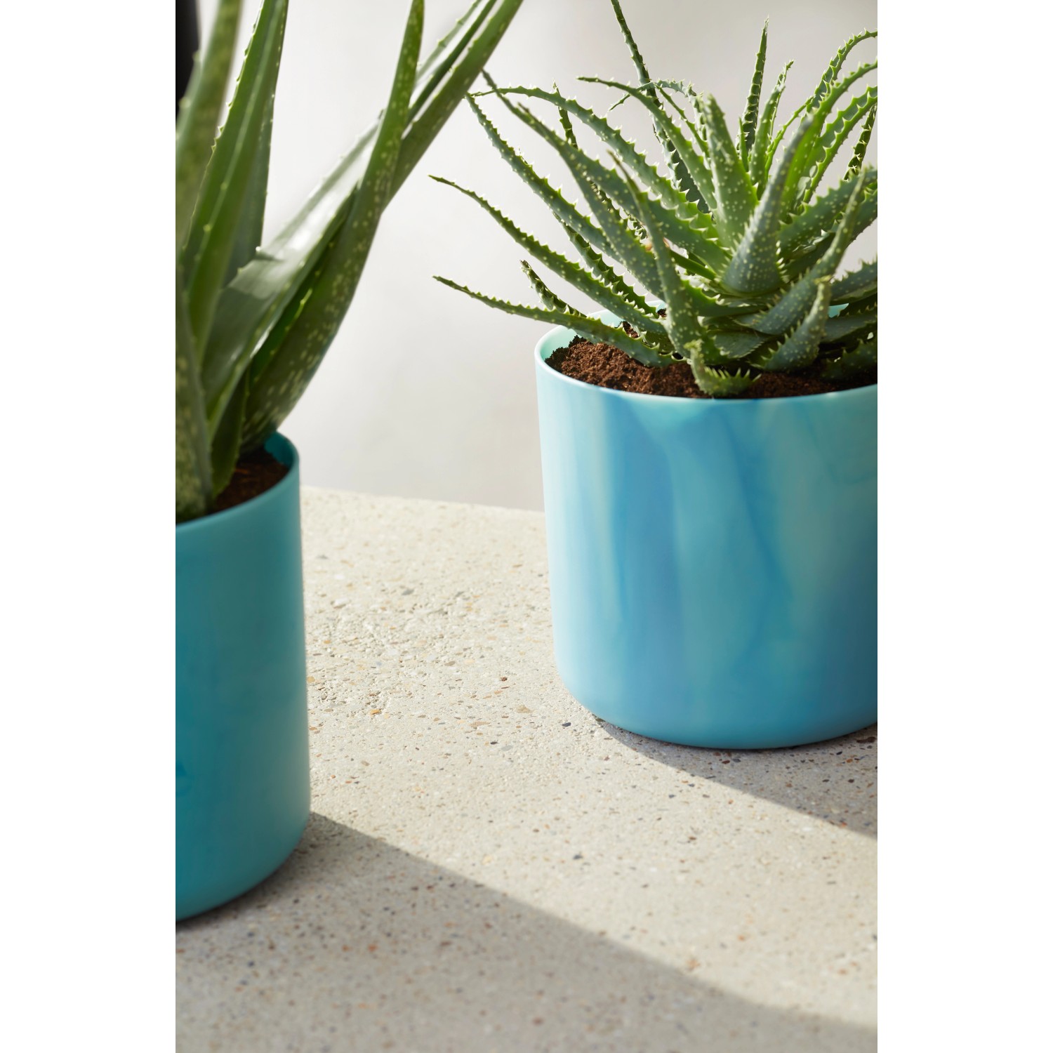 Vaso per fiori Elho Ocean Collection, Ø 16 cm, blu Atlantico, con pianta.