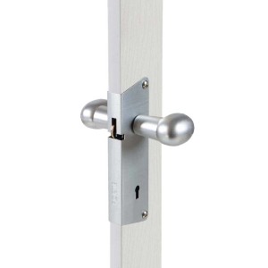 Dettaglio: Maniglia argentata di una porta a soffietto (Porte a soffietto).