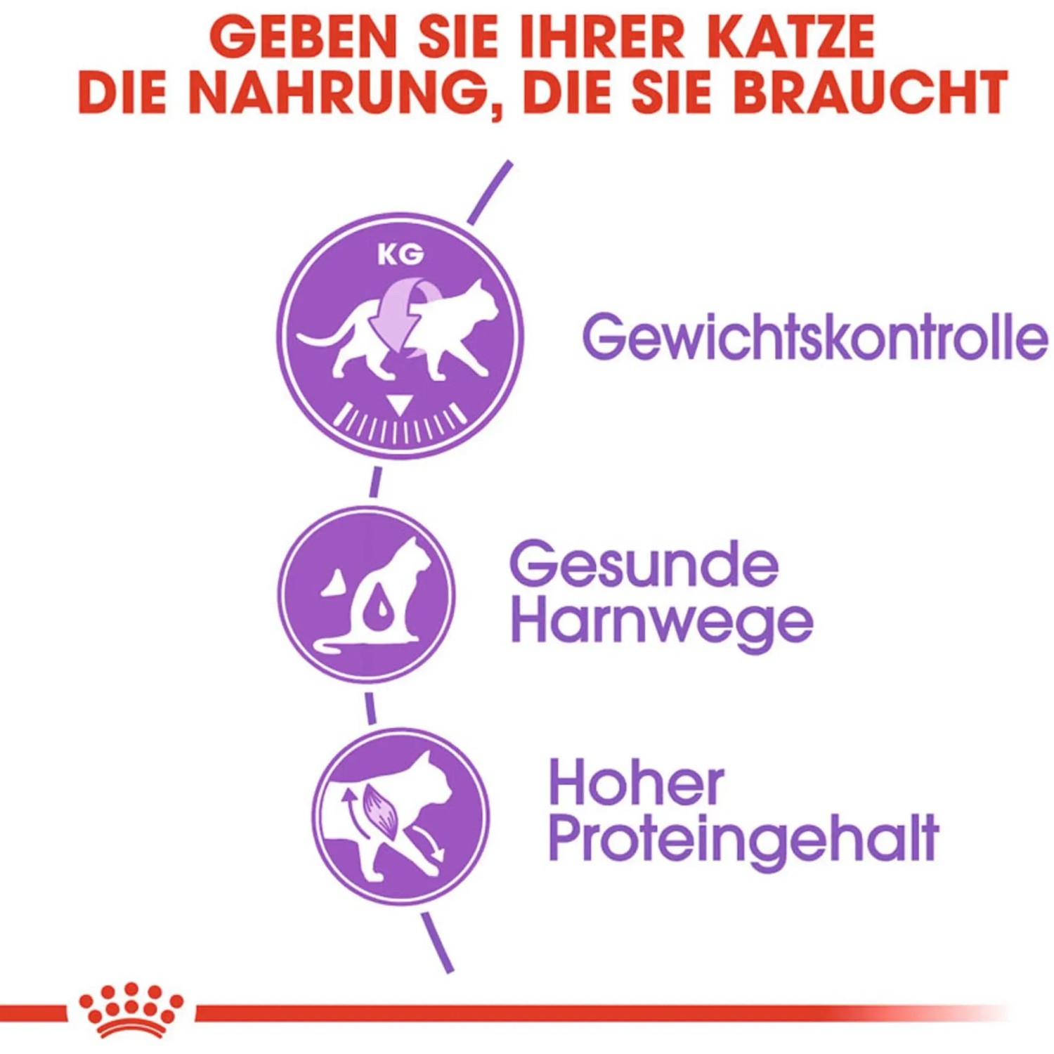 Grafica: Royal Canin Sterilised cibo per gatti – controllo del peso, tratto urinario sano, alto contenuto proteico.