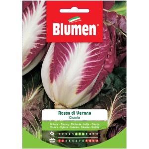 Confezione di semi di radicchio 'Rossa di Verona' di Blumen per la coltivazione di ortaggi.
