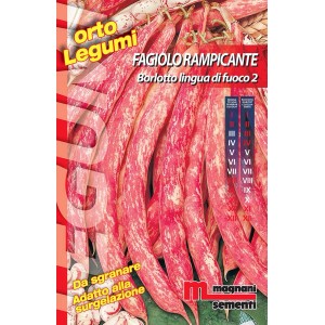 Confezione di semi di fagiolo rampicante t.b.t. (Semi da orto).
