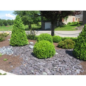 Giardino con pietre naturali t.b.t. come pacciamatura tra cespugli e alberi verdi.