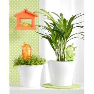 Scheurich Bördy S figure per l'irrigazione arancioni e verdi in vasi bianchi.