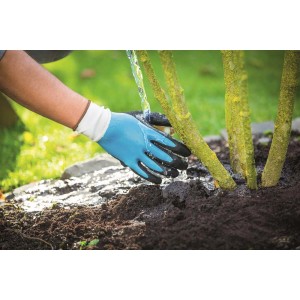Guanti da giardinaggio mentre si annaffia una pianta, categoria: Abbigliamento giardinaggio.