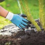 Guanti da giardinaggio mentre si annaffia una pianta, categoria: Abbigliamento giardinaggio.
