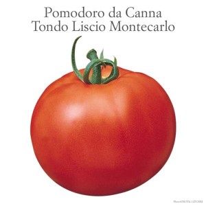 Pomodoro rosso e rotondo della categoria Ortaggi da frutto.