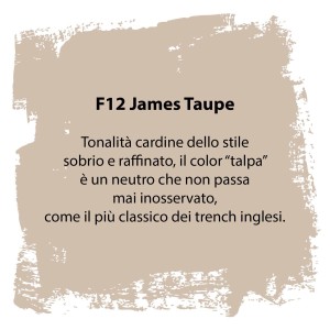 Campione di colore "James Taupe" (F12) come esempio per colori fai-da-te.