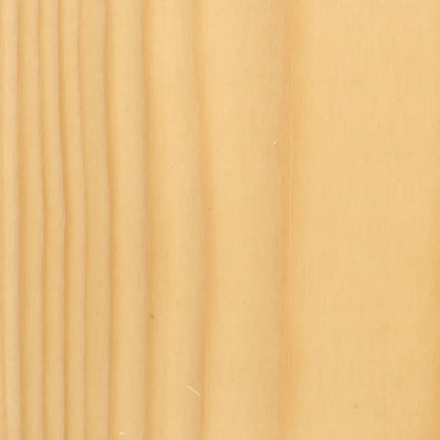 Primo piano di superficie in legno chiaro con venature. Impregnante per legno.