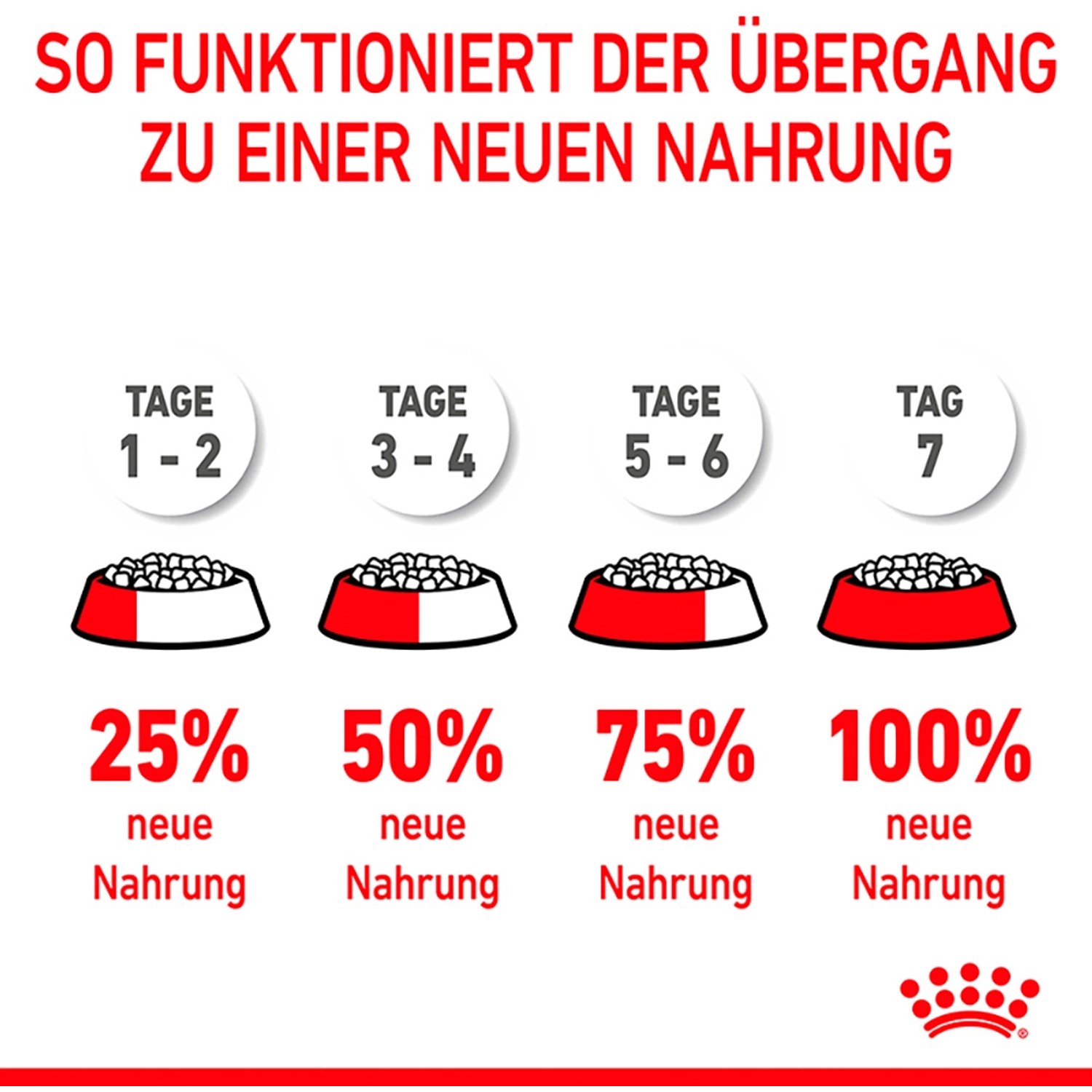 Guida all'alimentazione con cibo secco Royal Canin Kitten: passaggio al nuovo cibo in 7 giorni.