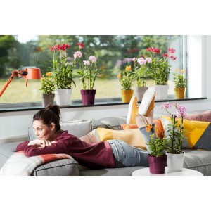 Donna rilassata sul divano con vasi da fiori Elho B.for Original in vari colori.