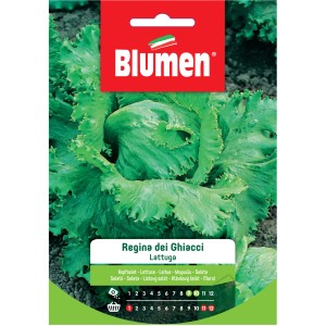 Confezione di semi di lattuga 'Regina dei Ghiacci' di Blumen per la coltivazione di ortaggi.