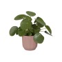 Vaso Elho Vibes Fold, Ø 25 cm, rosa tenue, con pianta. Vaso moderno per interni.