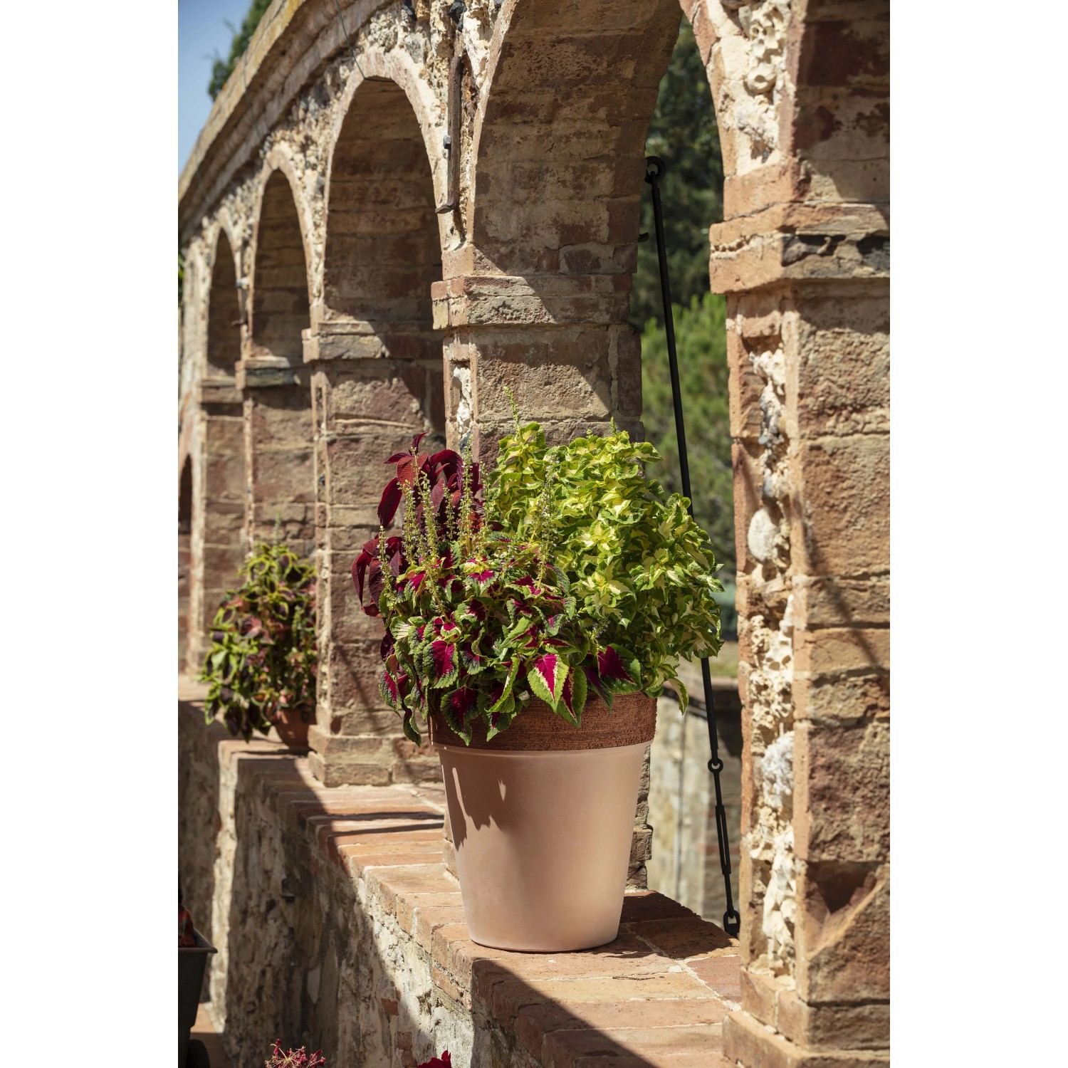 Vaso per piante in terracotta alto graffiato ø 26 cm_2