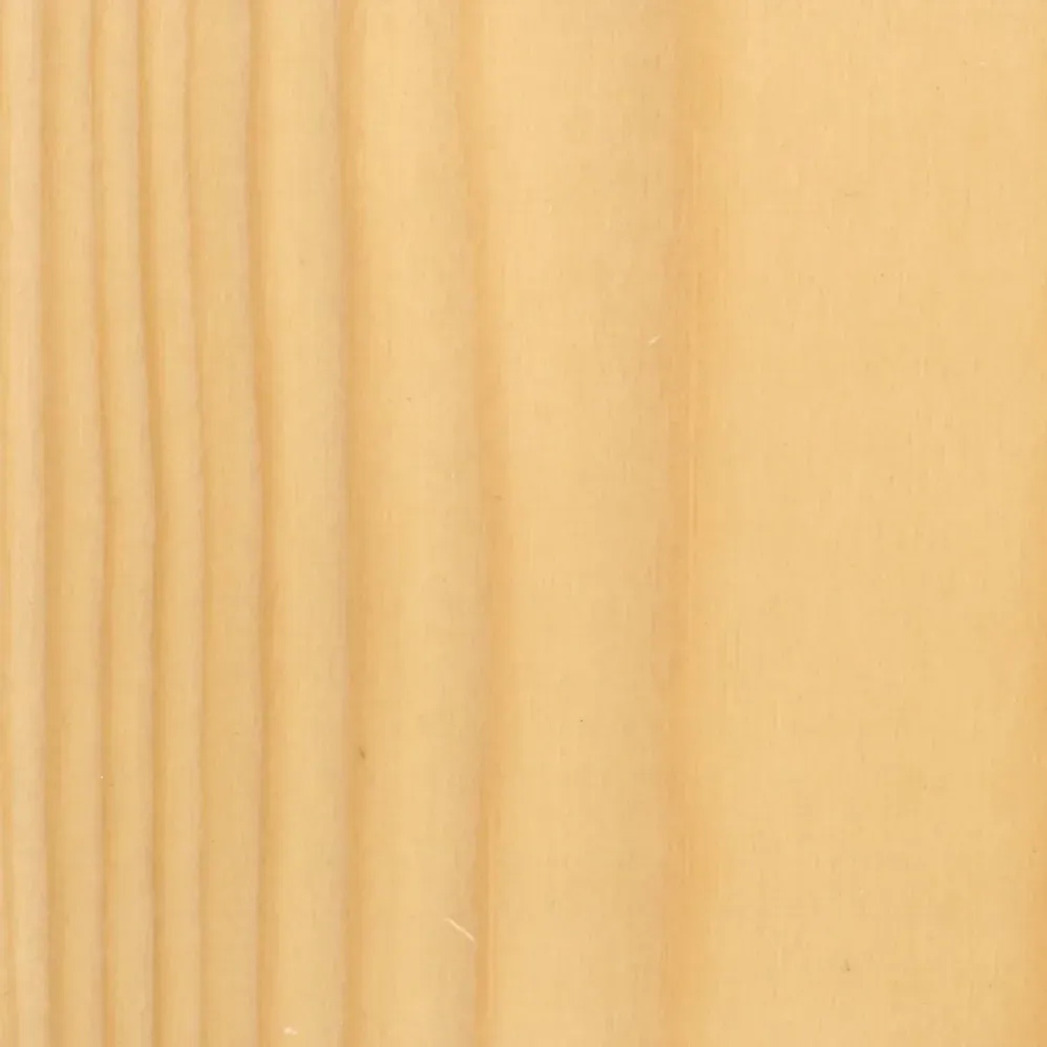 Primo piano di superficie in legno chiaro con venature. Impregnante per legno.