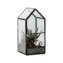 t.b.t. Composizione di piante in terrario a casetta di vetro con succulenta e sfere decorative.
