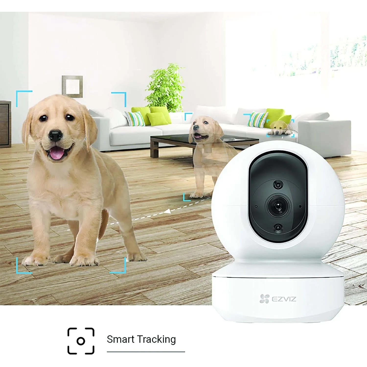 Telecamera di videosorveglianza t.b.t. bianca con funzione di tracciamento intelligente e cane sullo sfondo.