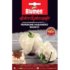 Confezione di semi: Peperoncino Habanero bianco, piccante. Ideale per l'orto in giardino.