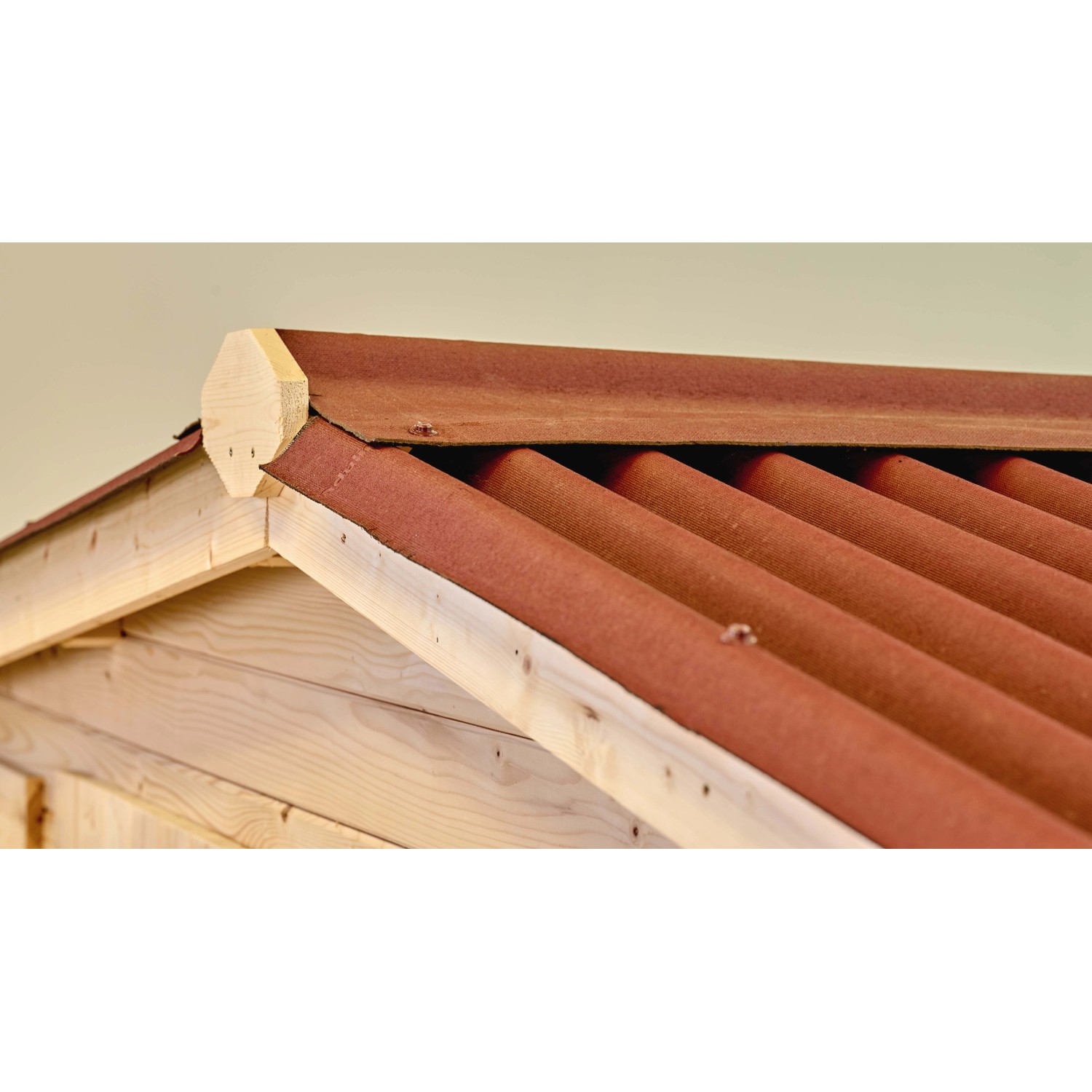 Casetta da giardino in legno sp 28 mm H207xL416xP504 cm_14