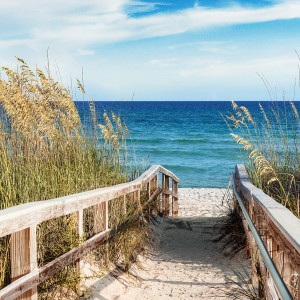 Quadri: Passerella in legno che conduce a una spiaggia con mare e cielo blu.