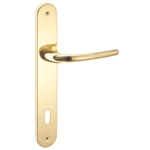 Set maniglia per porta dorata per interni.