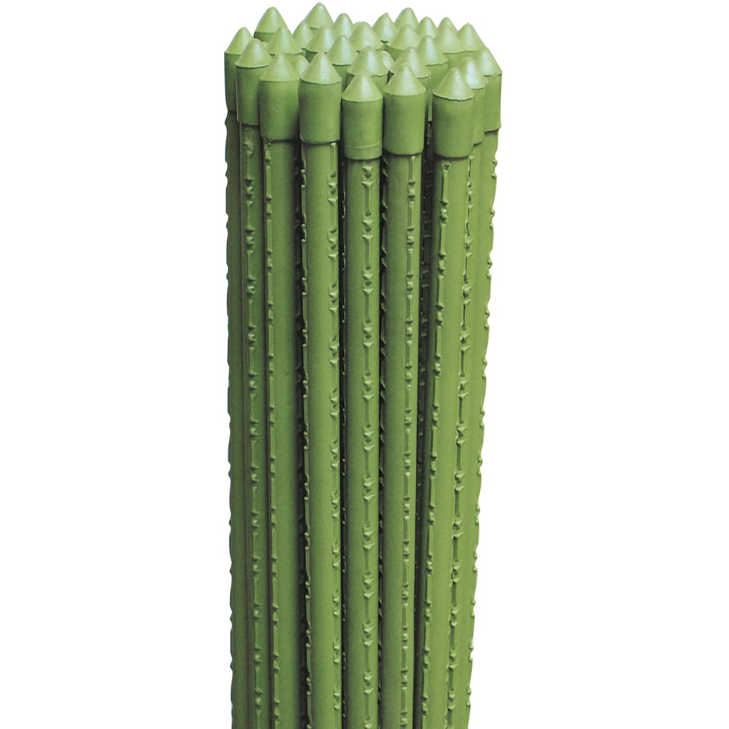 Dettaglio di supporti da giardinaggio t.b.t. verdi per piante.