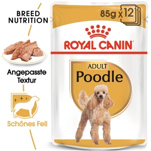 Royal Canin Poodle Adult cibo umido, 12 buste da 85g per barboncini.