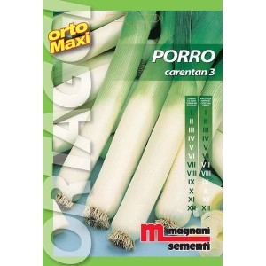Confezione di semi di porro 'Carentan 3' per l'orto.