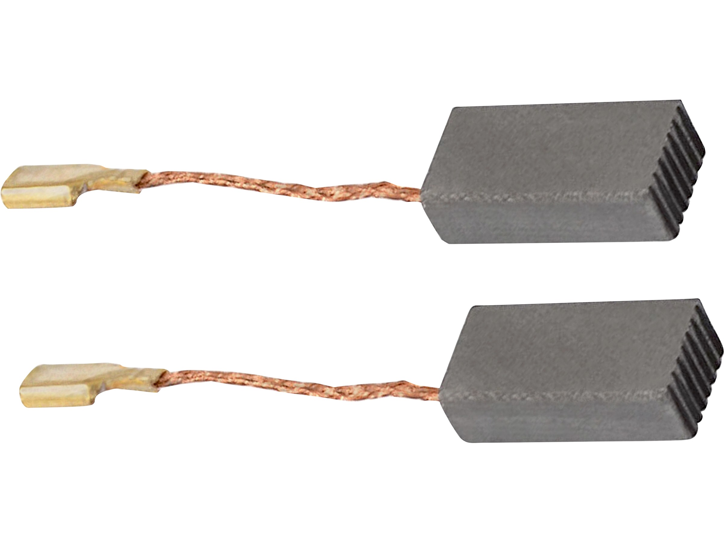2 Spazzole Carboncino Compatibili Siemens Avantgarde, Blue Star