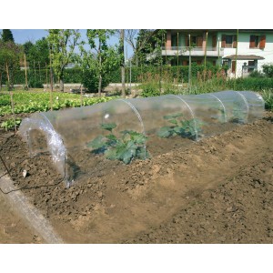 Piccolo tunnel serra per piante in giardino.