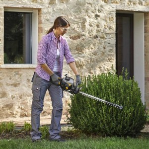 Tagliasiepi a scoppio Alpina AHT 555 22,5 cc