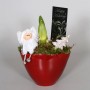 Composizione di Amaryllis in vaso di ceramica rosso con angelo e decorazioni, vaso-Ø ca. 14 cm.